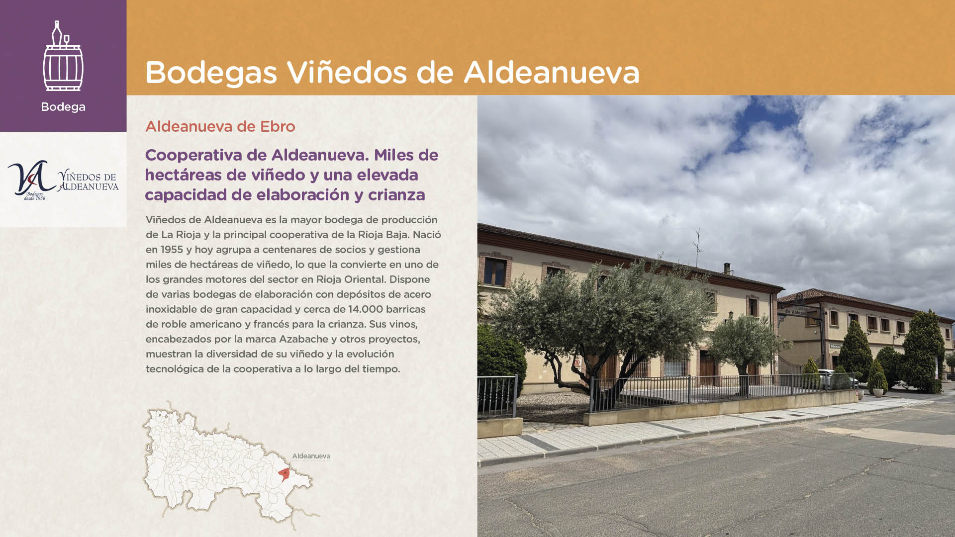Bodegas Viñedos de Aldeanueva
