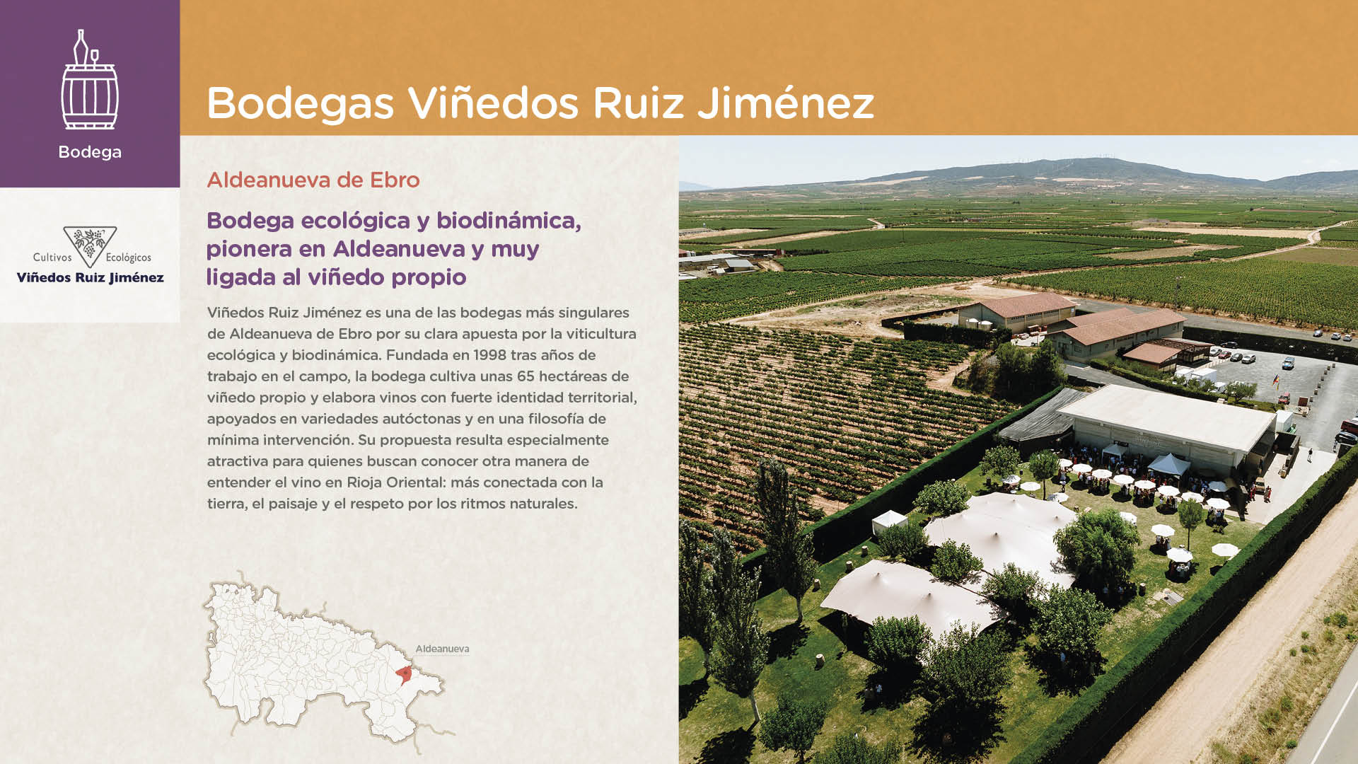 Bodegas Viñedos Ruiz Jiménez