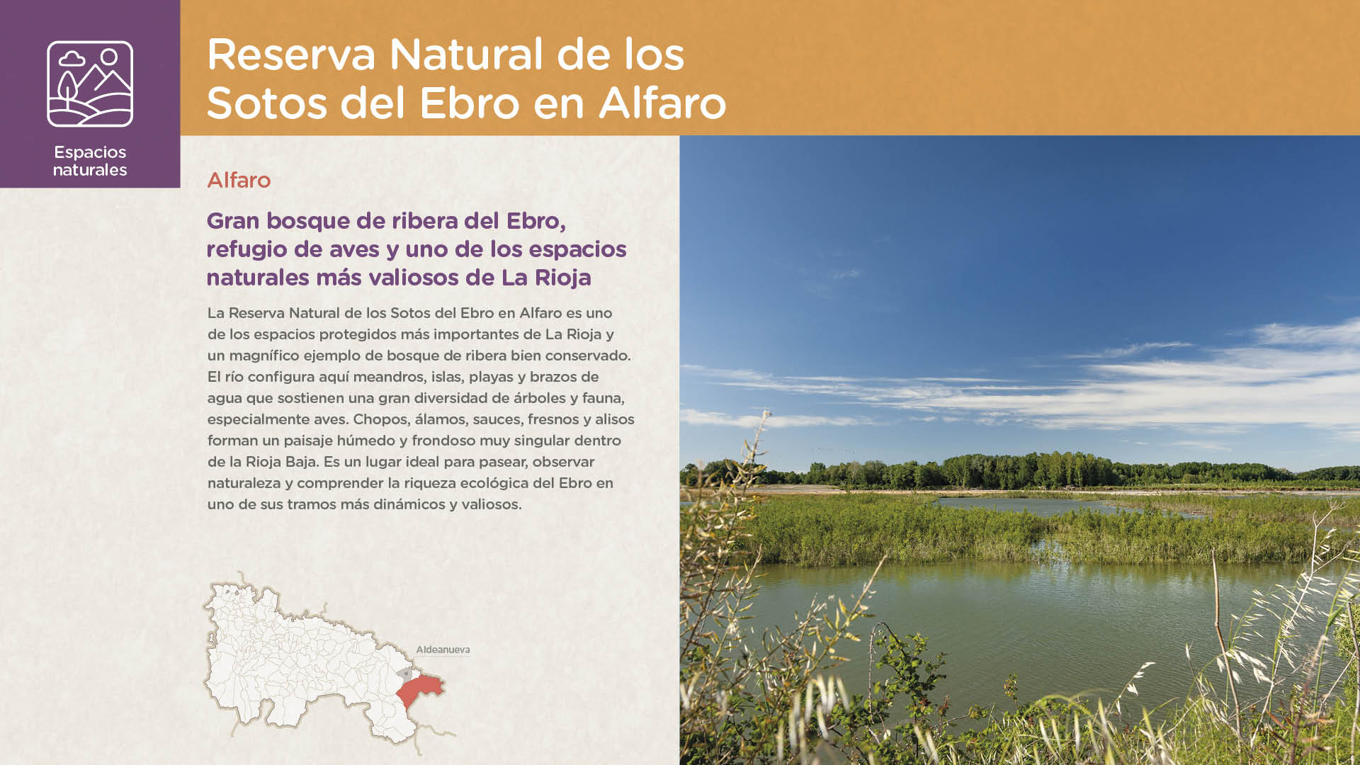 Reserva Natural de los Sotos del Ebro en Alfaro