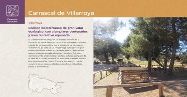 Carrascal de Villarroya