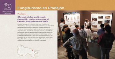 Fungiturismo en Pradejón