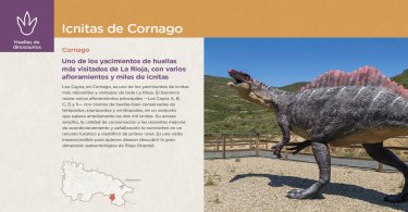 Icnitas de Cornago