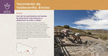 Yacimiento de Valdecevillo. Enciso