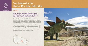 Yacimiento de Paña Portillo. Munilla