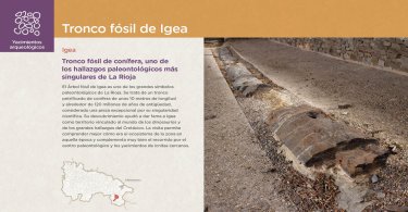 Tronco fósil de Igea