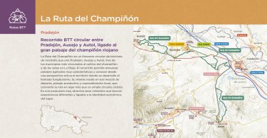 La Ruta del Champiñón